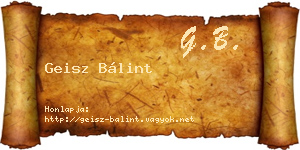 Geisz Bálint névjegykártya